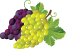 грозје