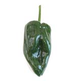 зелена пиперка